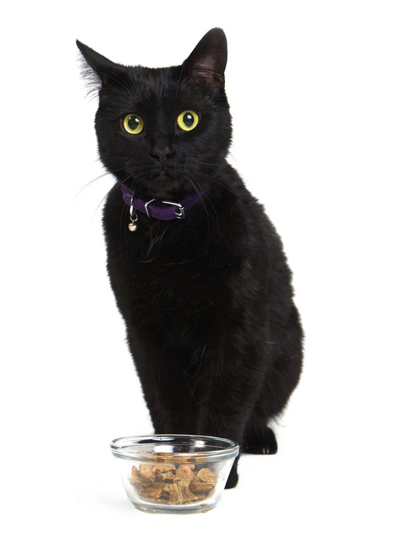 Load image into Gallery viewer, Smack Cat Very Berry - Discover Dogs