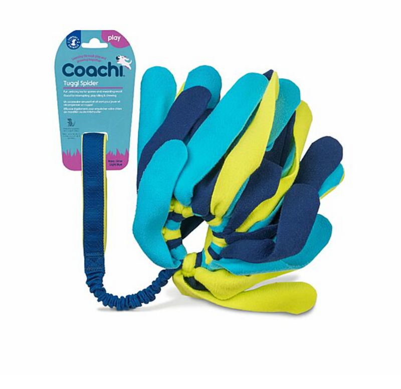 Load image into Gallery viewer, Coachi Play Tuggi Spider