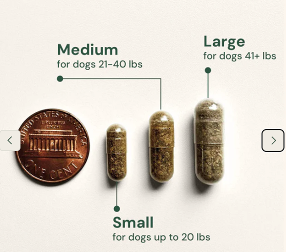 Load image into Gallery viewer, Animal Biome Gut Restore FMT for Dogs 30ct - Discover Dogs