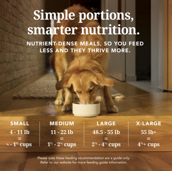 Load image into Gallery viewer, K9 Natural Beef Feast - Discover Dogs