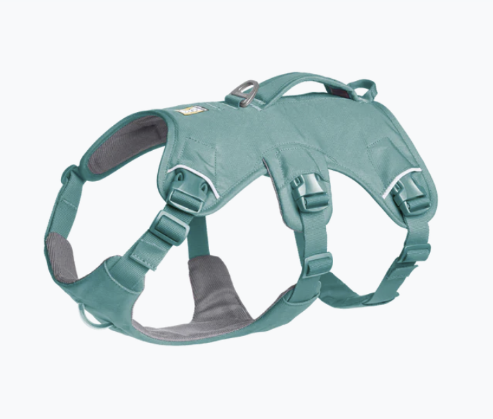 Load image into Gallery viewer, Ruffwear Web Master River Rock Green