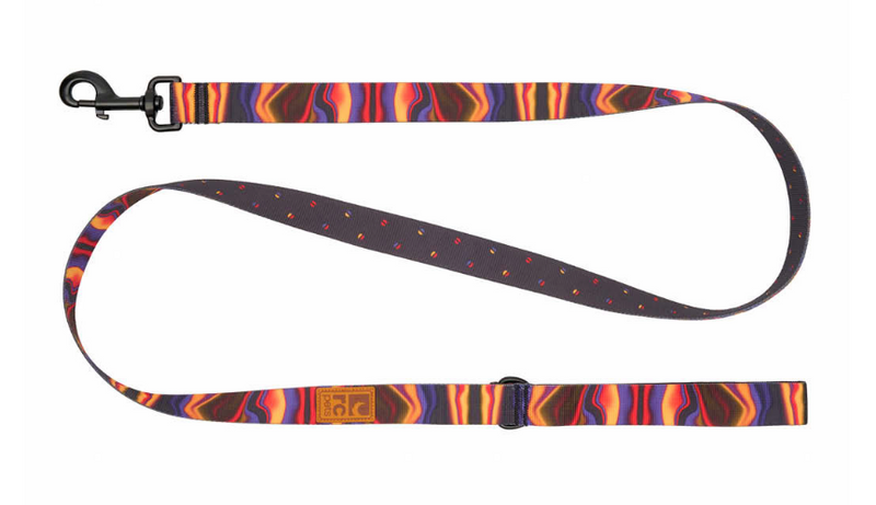 Load image into Gallery viewer, RC Eco Leash 5' x 1''