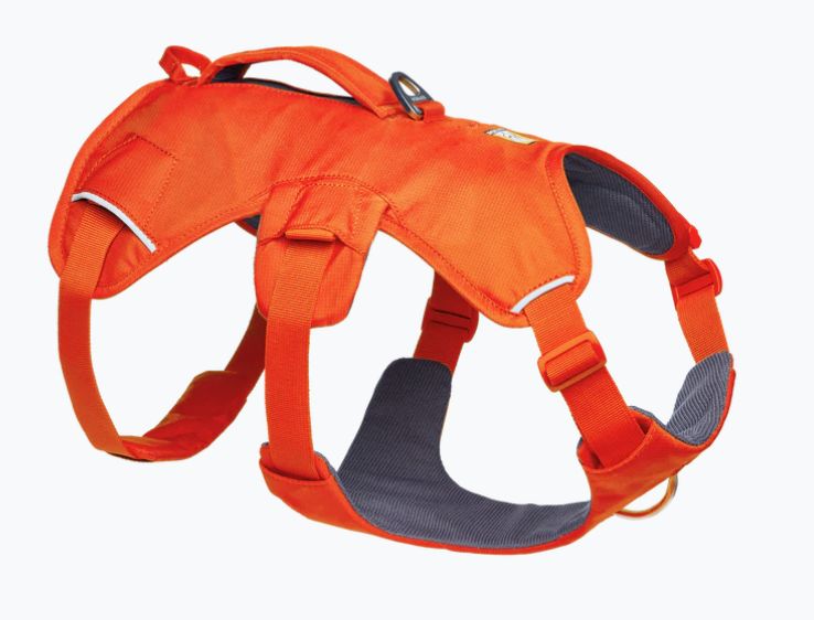 Load image into Gallery viewer, Ruffwear Web Master Blaze Orange