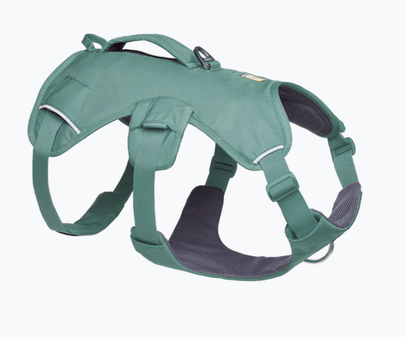 Load image into Gallery viewer, Ruffwear Web Master River Rock Green