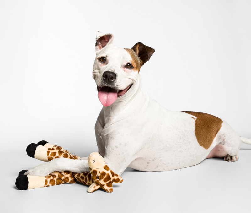 Load image into Gallery viewer, Fluff & Tuff Nelly Giraffe 13''