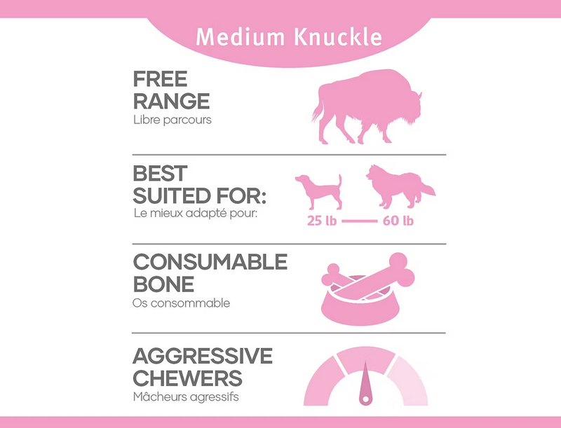 Load image into Gallery viewer, RDBK Bison Knuckle - Discover Dogs