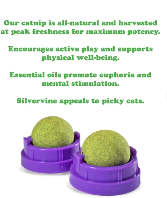 Load image into Gallery viewer, Meowijuana Purrple Passion Stick 'n' Lick Compressed Catnip and Silvervine Ball Toys 2pk