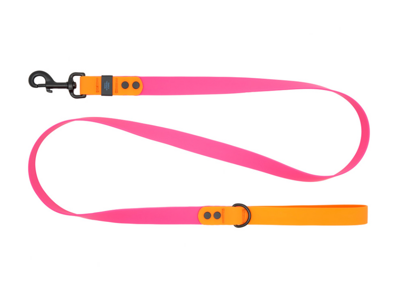 Load image into Gallery viewer, RC Pets Waterproof Leash 5' x 1''