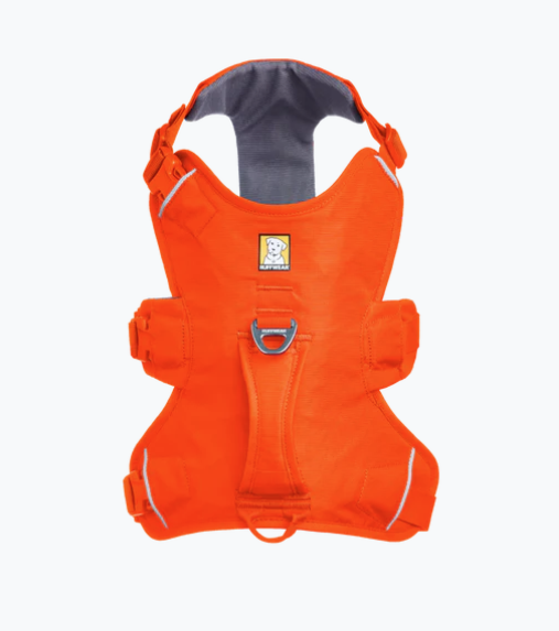 Load image into Gallery viewer, Ruffwear Web Master Blaze Orange