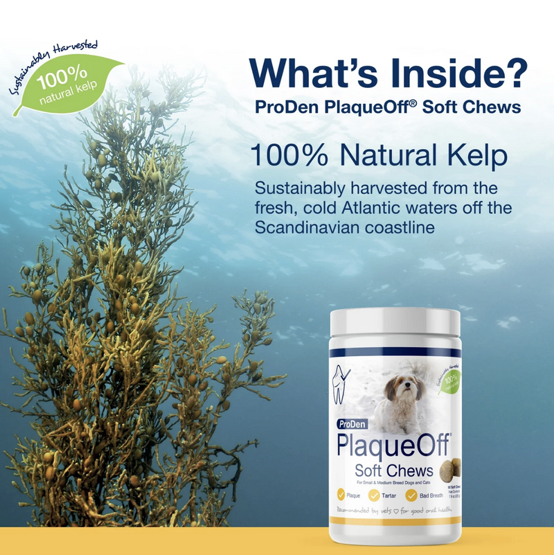 Load image into Gallery viewer, PlaqueOff Soft Chew Dog 90ct