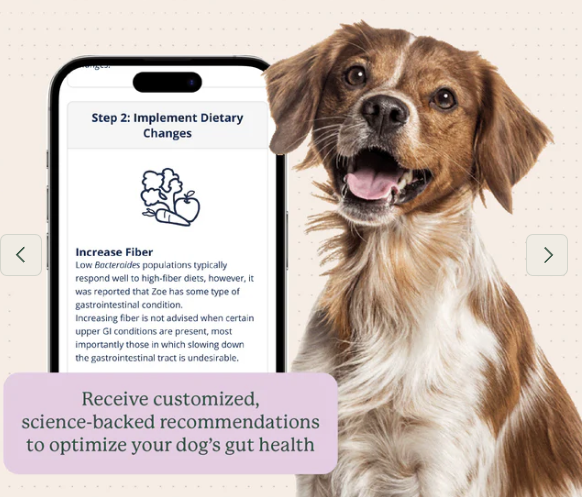 Load image into Gallery viewer, Animal Biome Gut Microbiome Health Test for Dogs