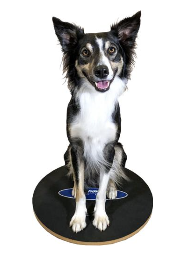 Load image into Gallery viewer, FitPaws Wobble Board