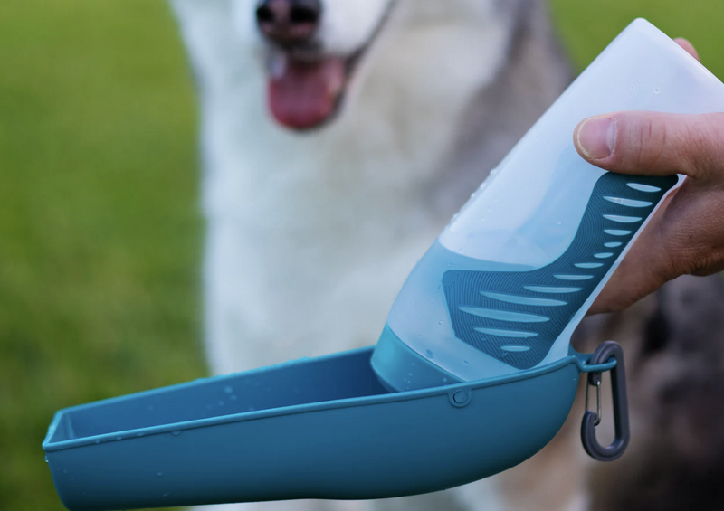 Load image into Gallery viewer, Messy Mutts Water Bottle with Removable Bowl