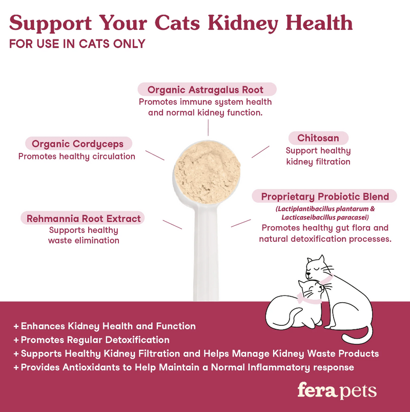 Load image into Gallery viewer, Fera Pet Organics Kidney Support for Cats