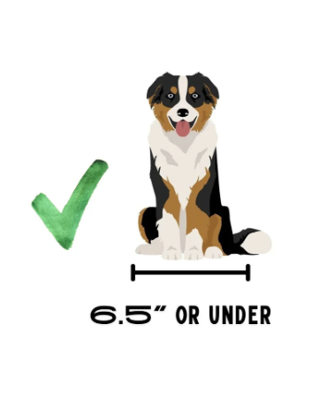 Load image into Gallery viewer, BuddyRider Series 2