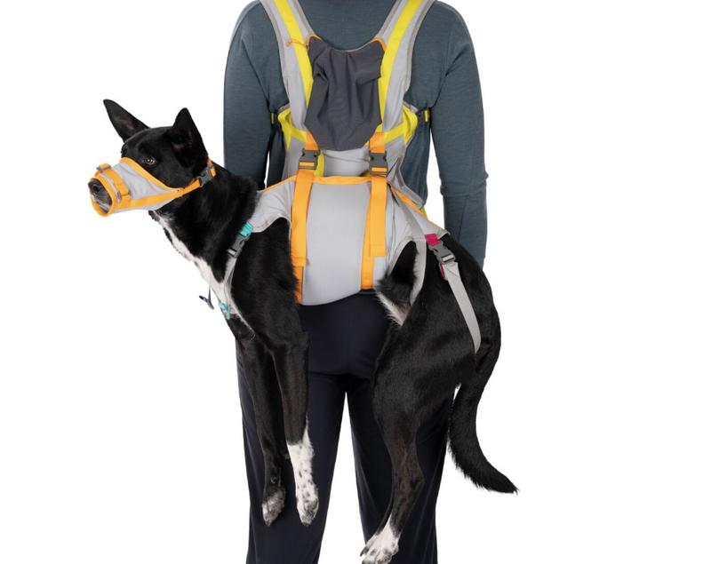Load image into Gallery viewer, Ruffwear BACKTRAK™ DOG EVACUATION KIT