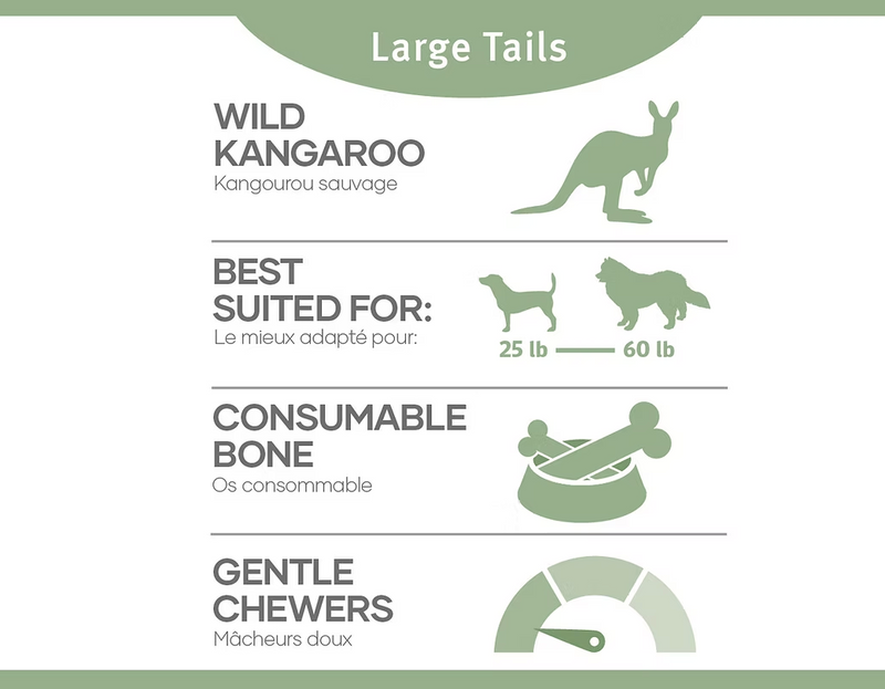 Load image into Gallery viewer, RDBK Kangaroo Tail - Discover Dogs