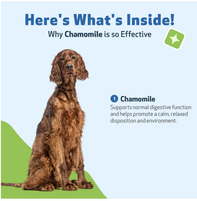 Load image into Gallery viewer, Pet Wellbeing Chamomile for Dogs