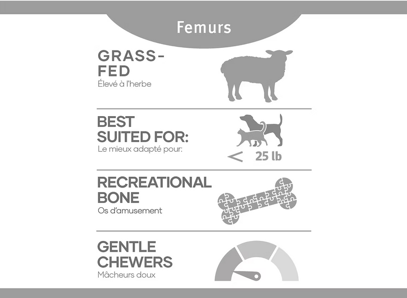 Load image into Gallery viewer, RDBK Frozen Lamb Femur (Split) - Discover Dogs