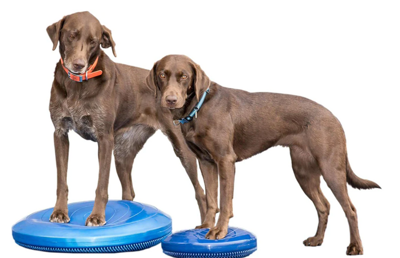 Load image into Gallery viewer, FitPAWS Balance Disc