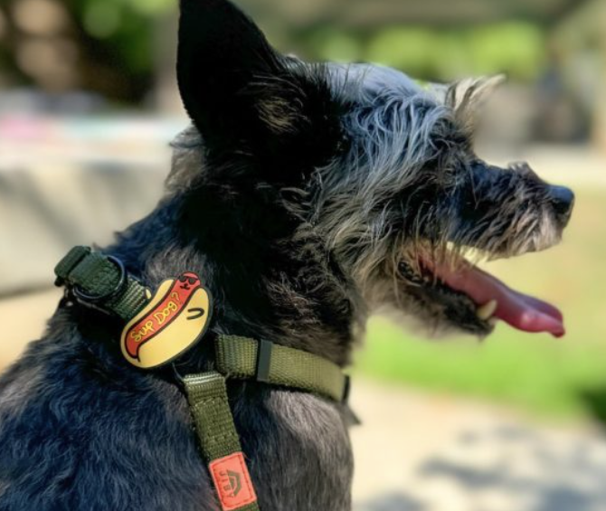 Load image into Gallery viewer, Jiby Dog Charm Sup Dog