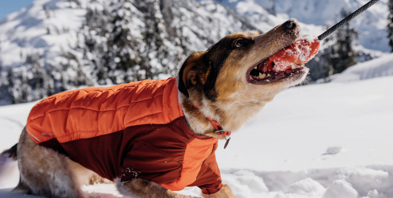 Load image into Gallery viewer, Ruffwear Huck-A-Cone