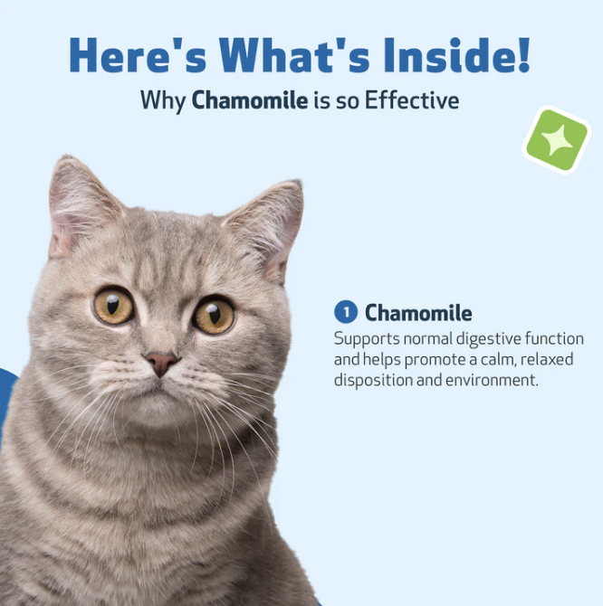 Load image into Gallery viewer, Pet Wellbeing Chamomile for Cats