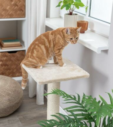 Load image into Gallery viewer, Trixie Scratching Post Baena Beige 27"