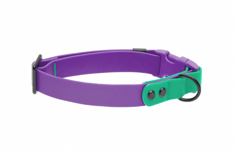 Load image into Gallery viewer, RC Pets Waterproof Collar Purple/Parakeet