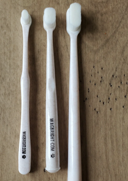 Load image into Gallery viewer, Wag & Bright Polisher Eco Toothbrush