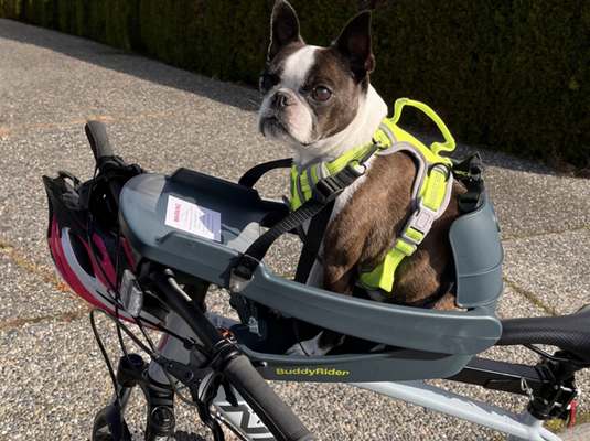 BuddyRider Series 2