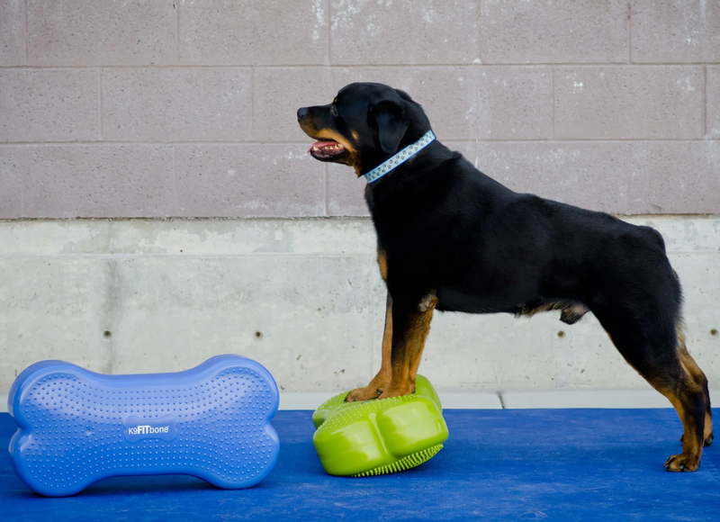 Load image into Gallery viewer, FitPAWS K9 FITbone
