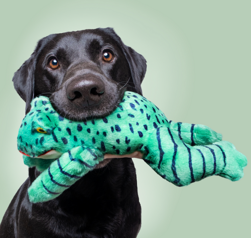 Load image into Gallery viewer, Fluff & Tuff Oliver Frog