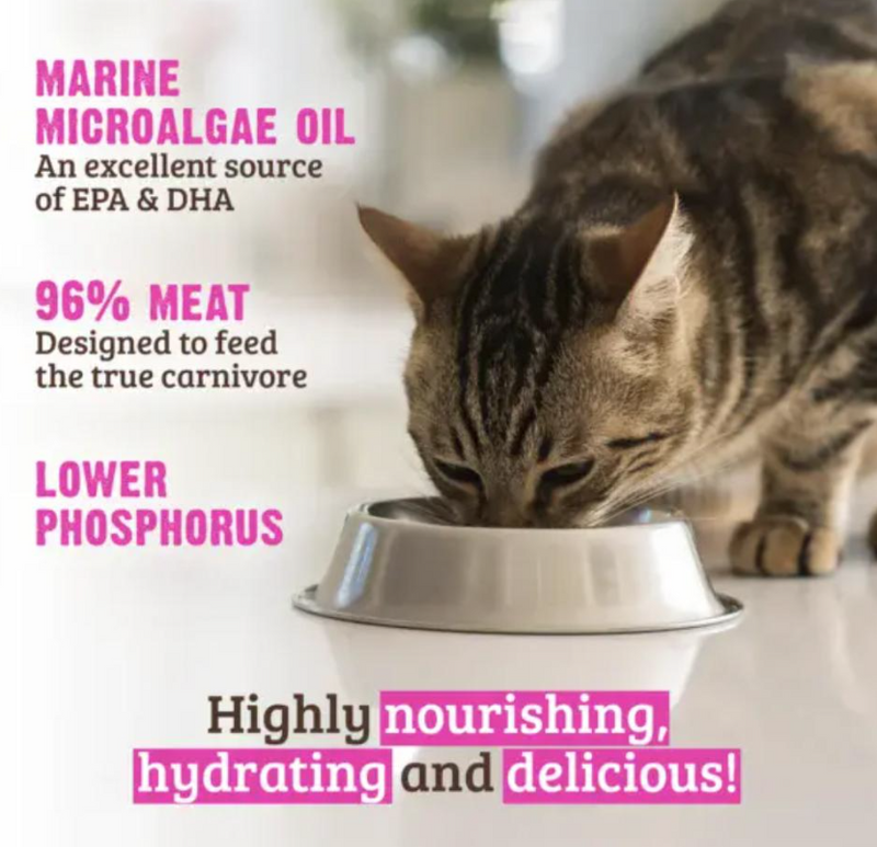 Load image into Gallery viewer, Rawz Cat Can Low Phosphorus Tuna & Salmon Pate 155g