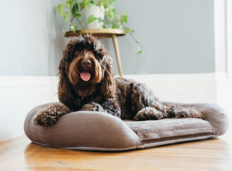 Load image into Gallery viewer, PLAY Memory Foam Lounger Bed Brown