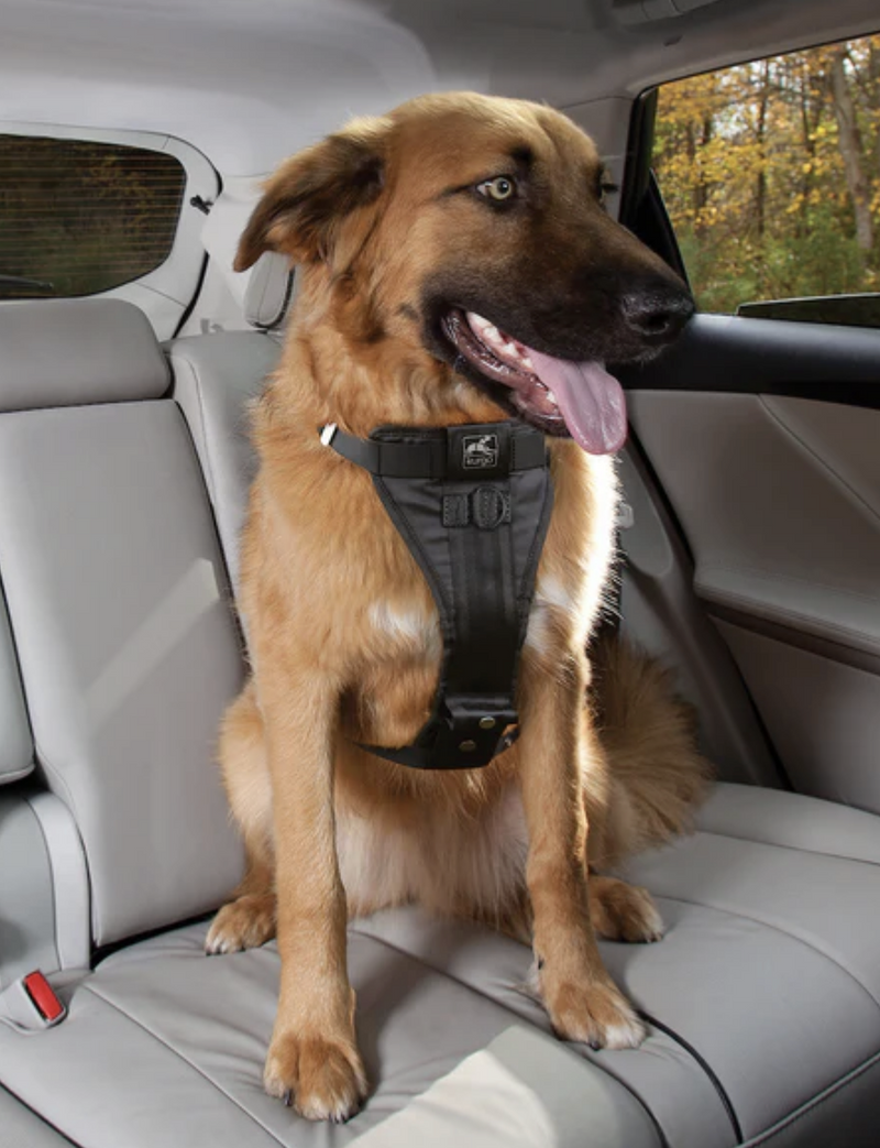 Load image into Gallery viewer, Kurgo Enhanced Strength Tru-Fit Dog Car Harness Charcoal