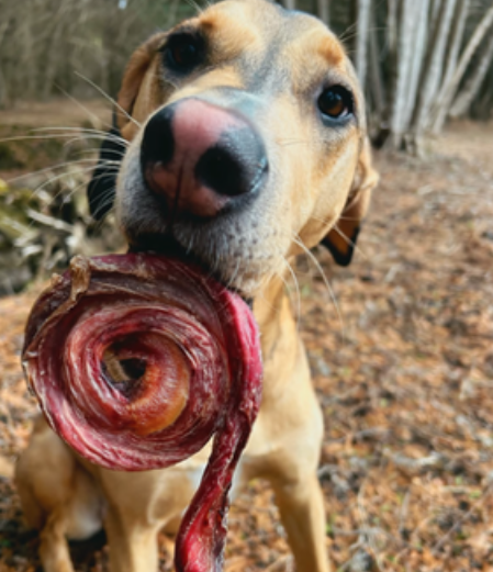 Load image into Gallery viewer, Grand Valley Beef Pizzle Pop