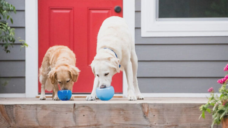 Engaging Toys