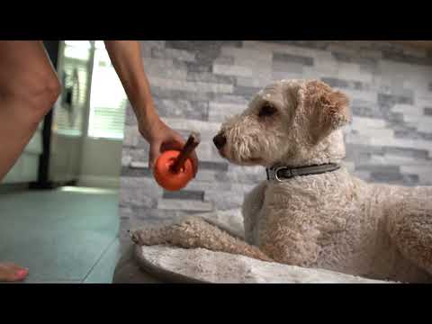 Load image into Gallery viewer, Bully Grip Bully Stick Holder - Discover Dogs