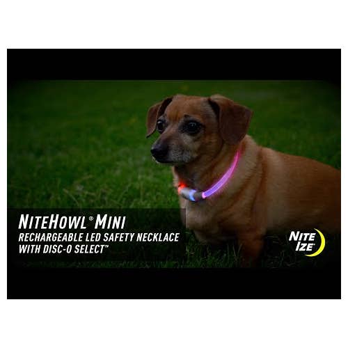 Load image into Gallery viewer, Nite Ize NightHowl Disco Rechargeable
