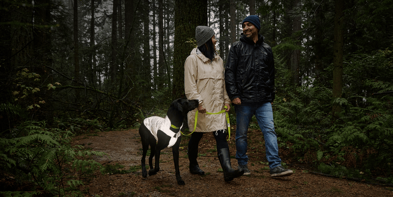 Load image into Gallery viewer, RC Starling Reflective Jacket Goji Berry