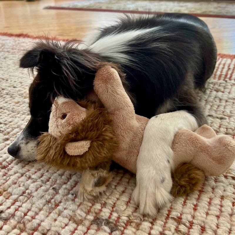 Load image into Gallery viewer, Fluff & Tuff Leo Lion 7"
