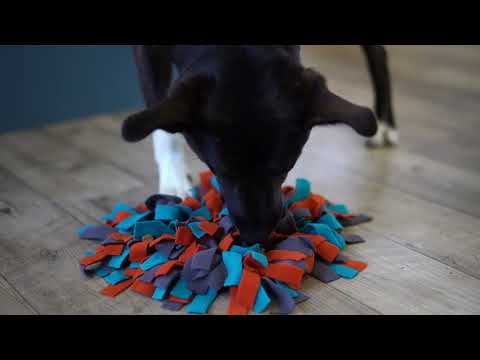 Load and play video in Gallery viewer, Messy Mutts 15" Round Forage Mat with Suction