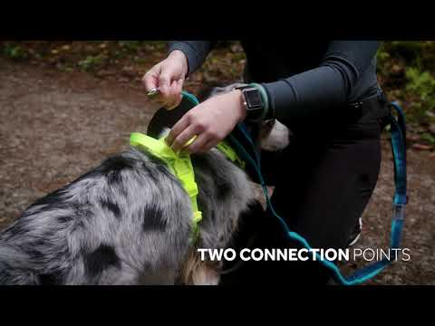 Load and play video in Gallery viewer, RC Momentum Harness Purple