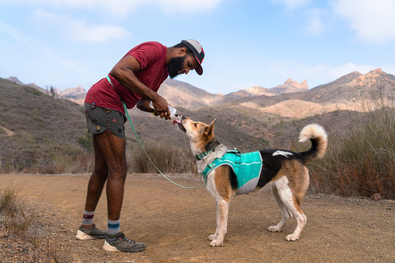 Load image into Gallery viewer, Ruffwear Swamp Cooler Zip Vest Aurora Teal