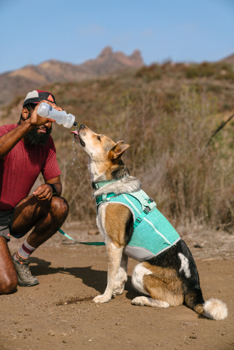 Load image into Gallery viewer, Ruffwear Swamp Cooler Zip Vest Aurora Teal