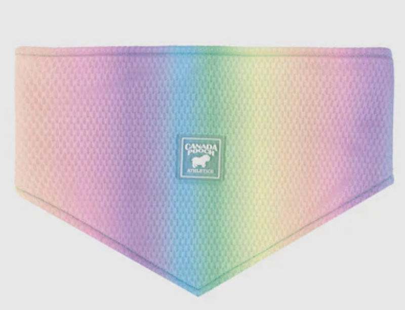 Load image into Gallery viewer, Canada Pooch Cooling Bandana Rainbow
