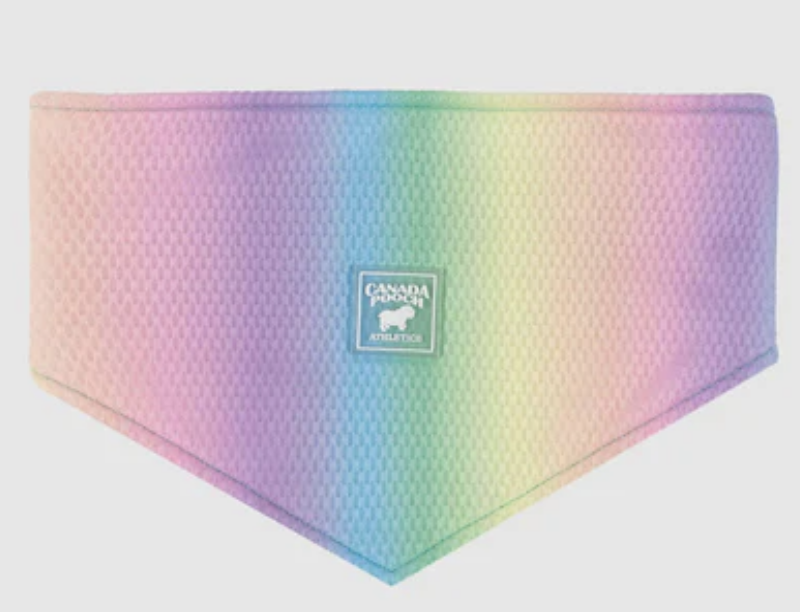 Load image into Gallery viewer, Canada Pooch Cooling Bandana Rainbow