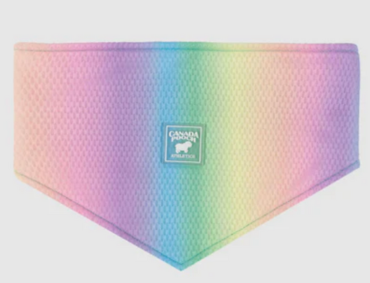 Canada Pooch Cooling Bandana Rainbow
