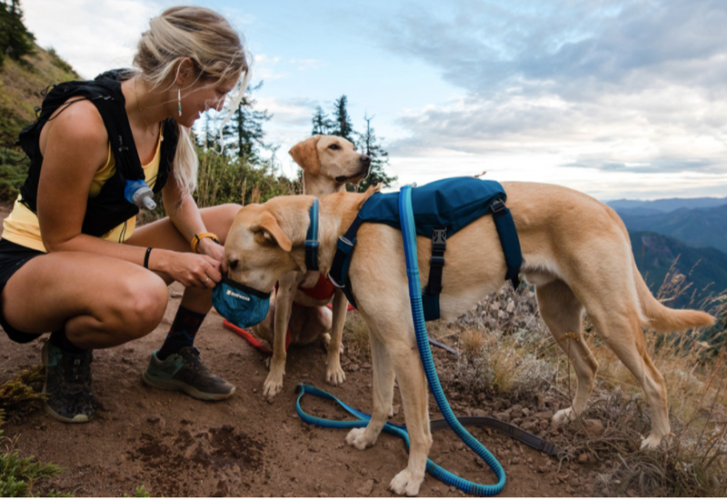 Load image into Gallery viewer, Ruffwear Roamer Leash 7.3'-11'